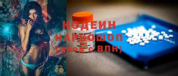 таблы Бородино