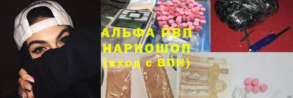 гидра Верхний Тагил