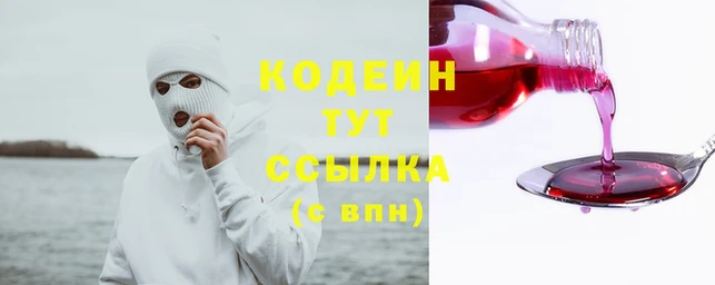 таблы Бородино
