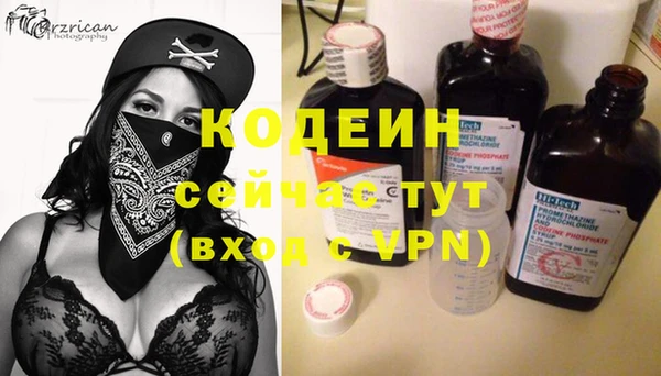таблы Бородино