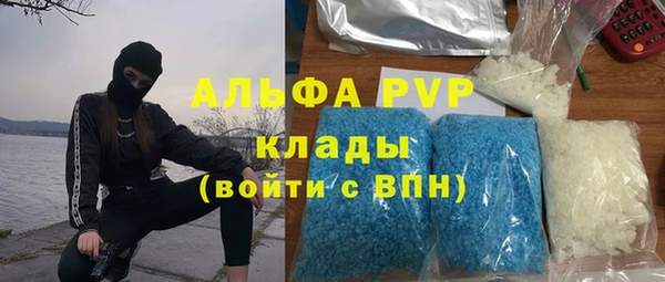 таблы Бородино