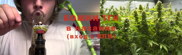 таблы Бородино