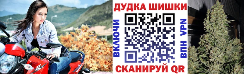 Конопля Bruce Banner  цены   Ялуторовск 